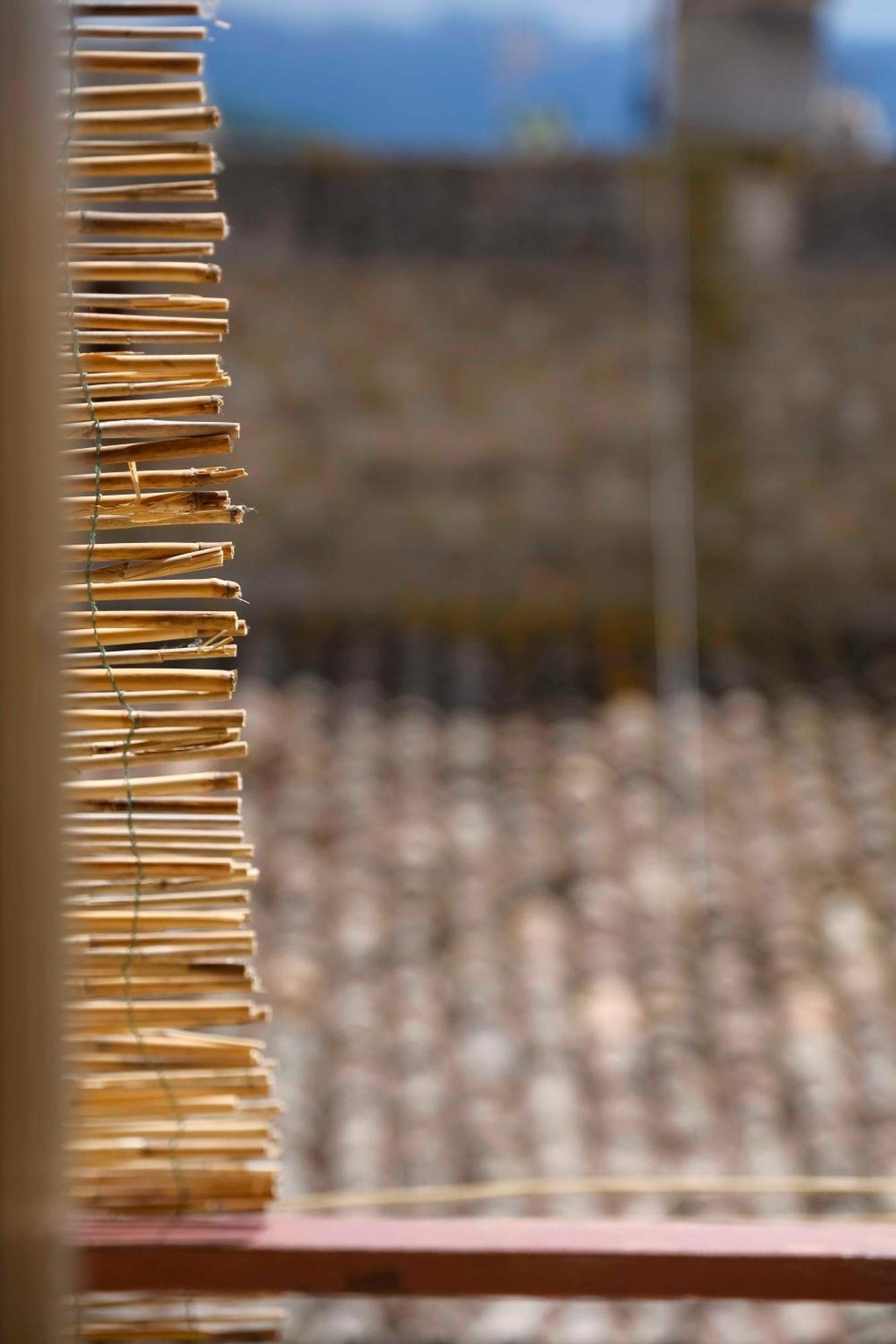 Ferienwohnung Casa Donna Pippina Villafrati Exterior foto